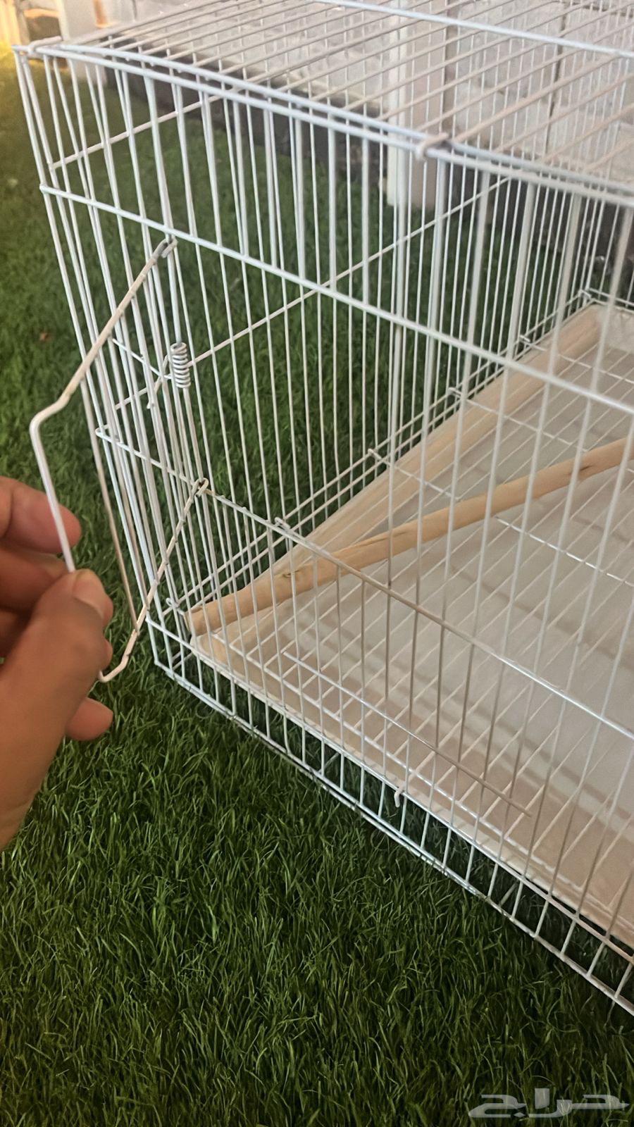 Bird Cages64359691282945112