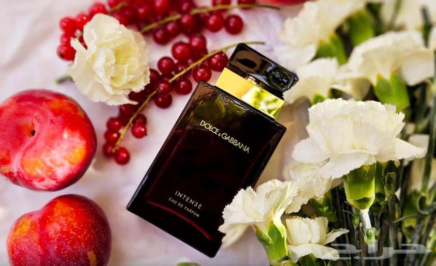 عطر دولشي اند غابانا انتينس - أصلي64355888521345112
