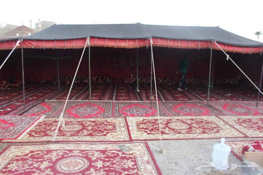 اثاث للبيع كراسي ومكاتب64354282101121110