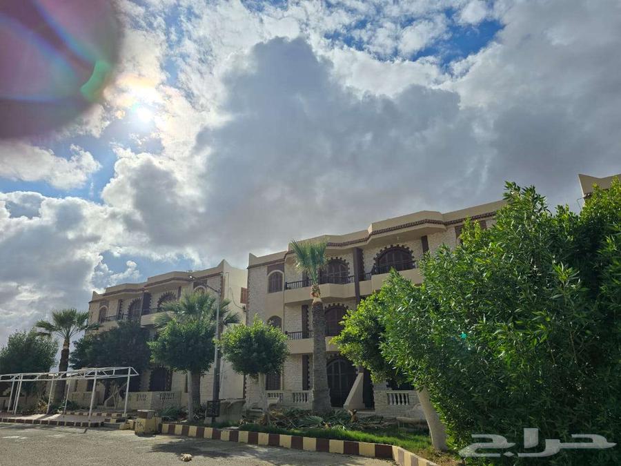 مطلوب مكتب للايجار63613860087681113