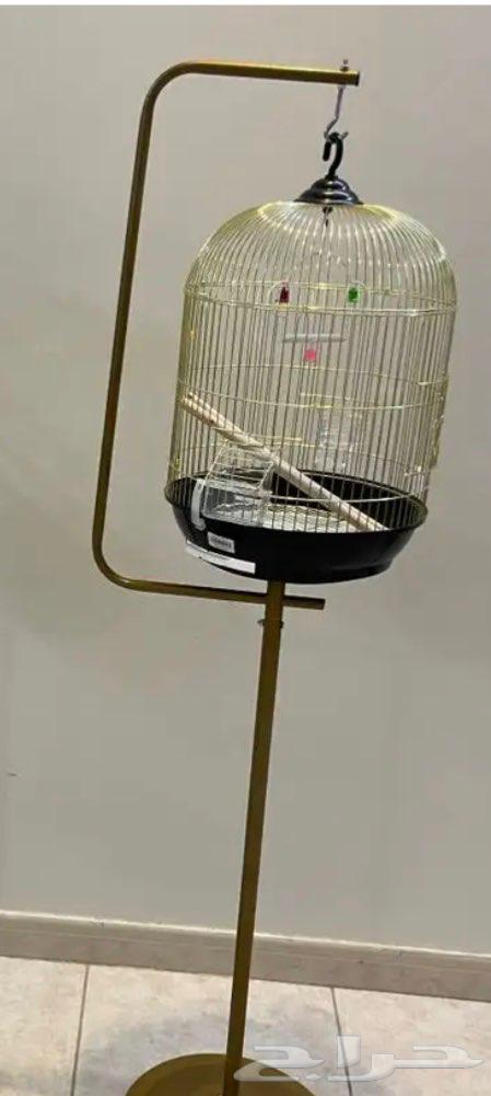 قفص طيور للبيع جديد64368820694787111