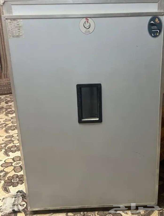 فقاسة لمعة البحر64377608625795110