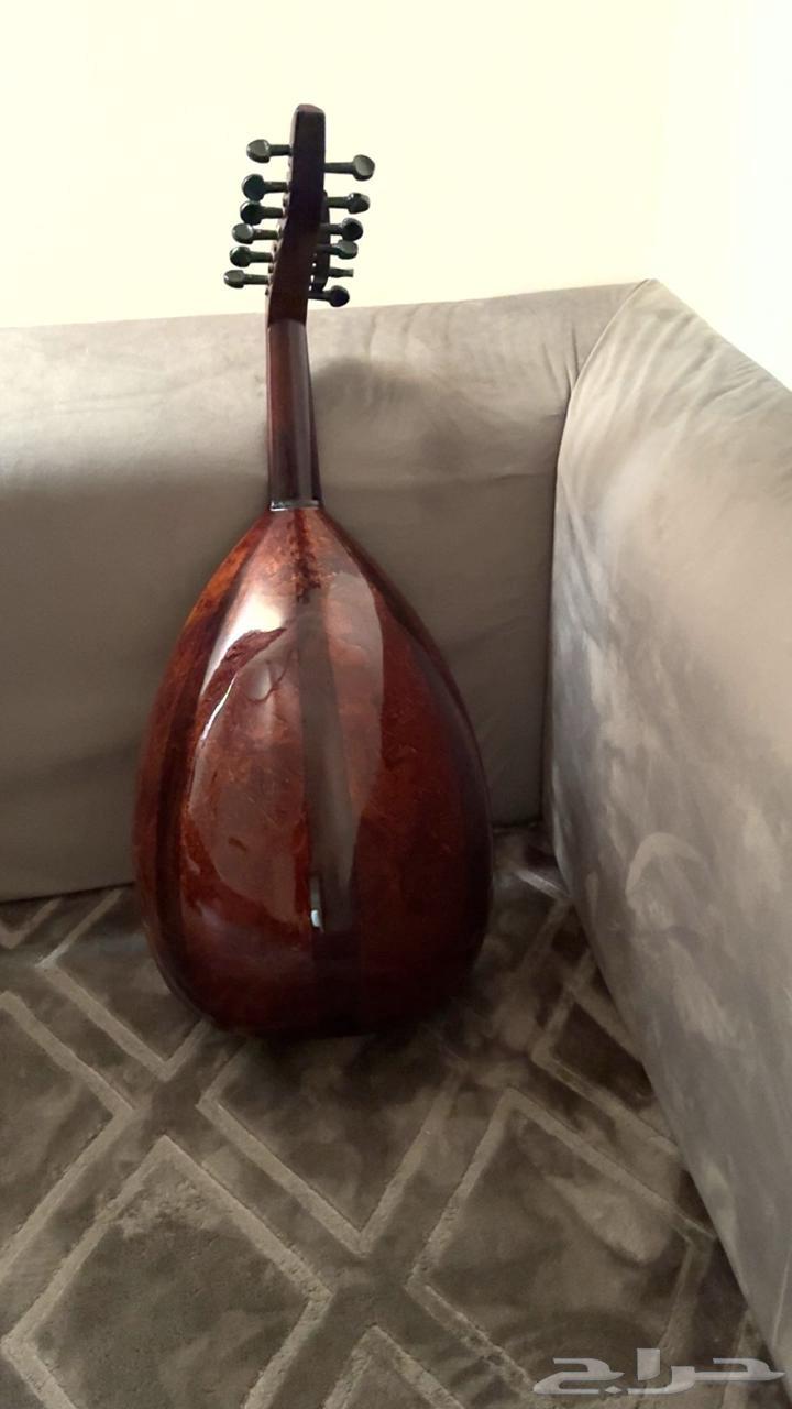 عود للبيع64369323634177110
