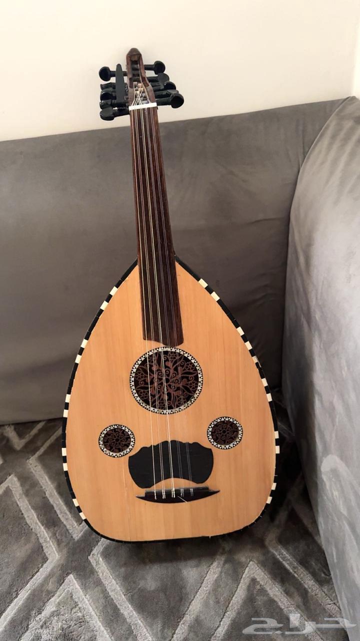 عود للبيع64369323634177111