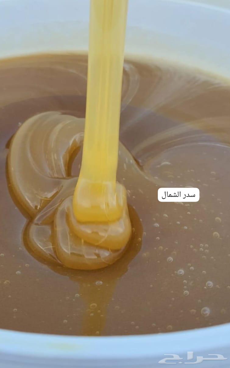 For sale authentic honey (Talh - Sidr - Sumrah)64378237500419110