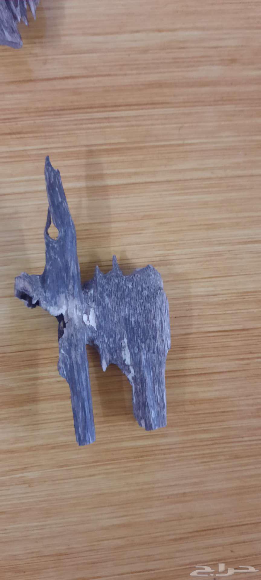 تصفية مقتنيات دهن عود64369160345089110