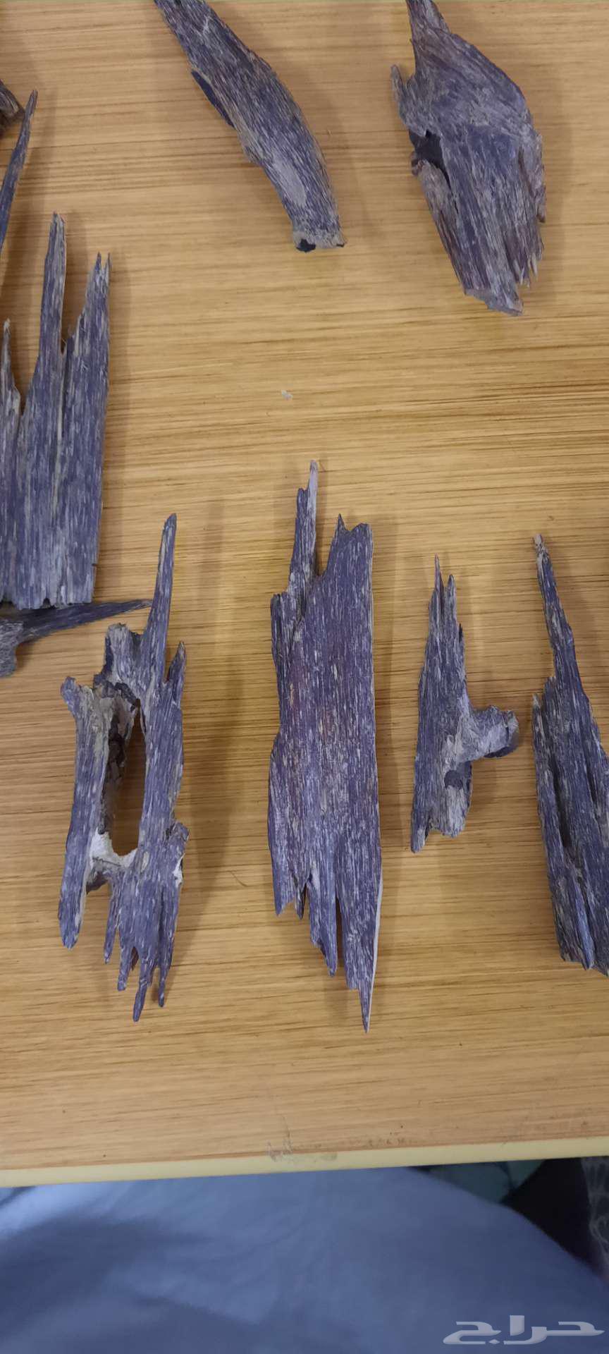 تصفية مقتنيات دهن عود64369160345089112