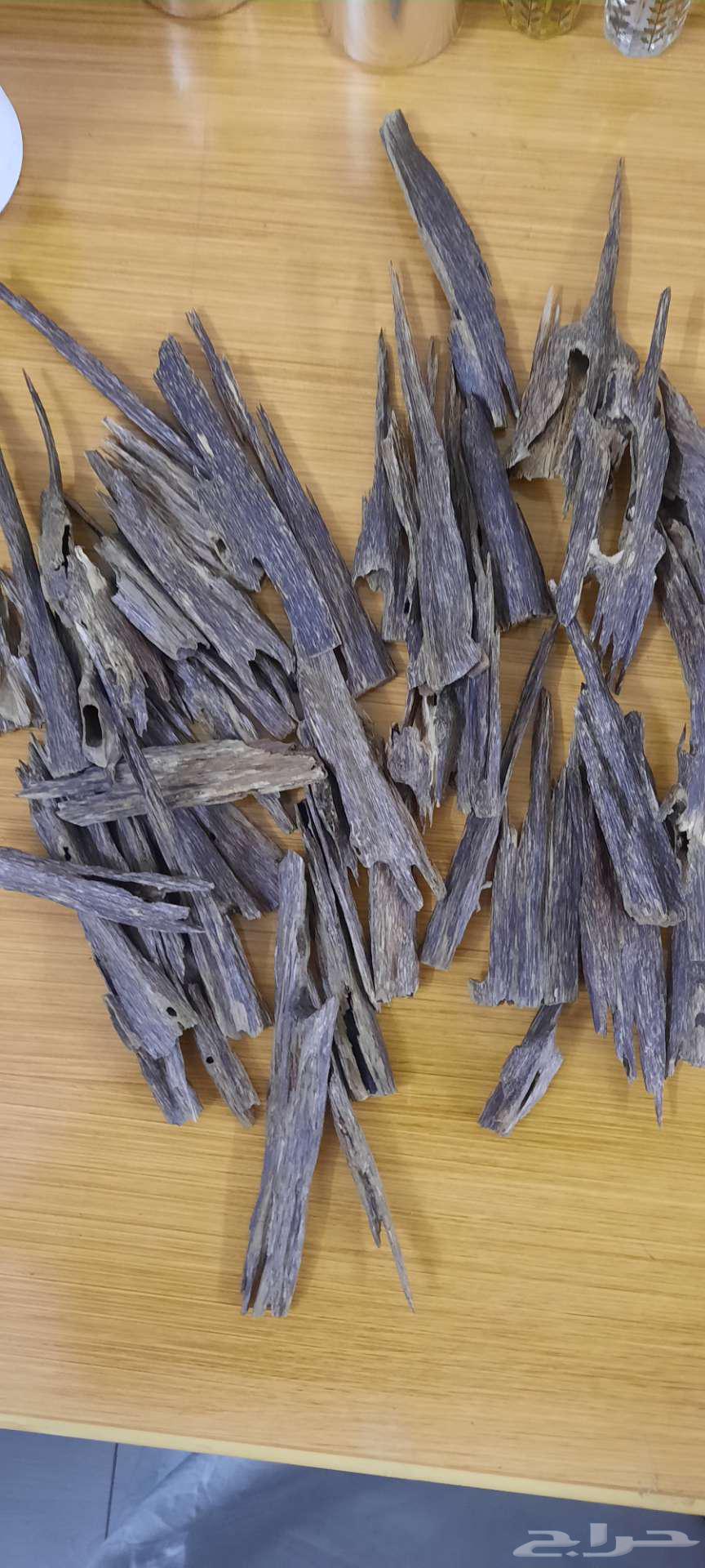 تصفية مقتنيات دهن عود64369160345089113