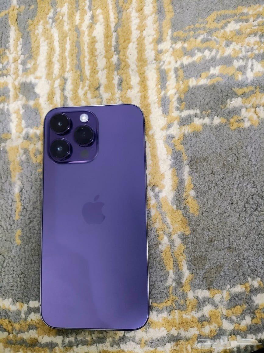 الطايف ذوي حجي السيل الصغير64373521912066112