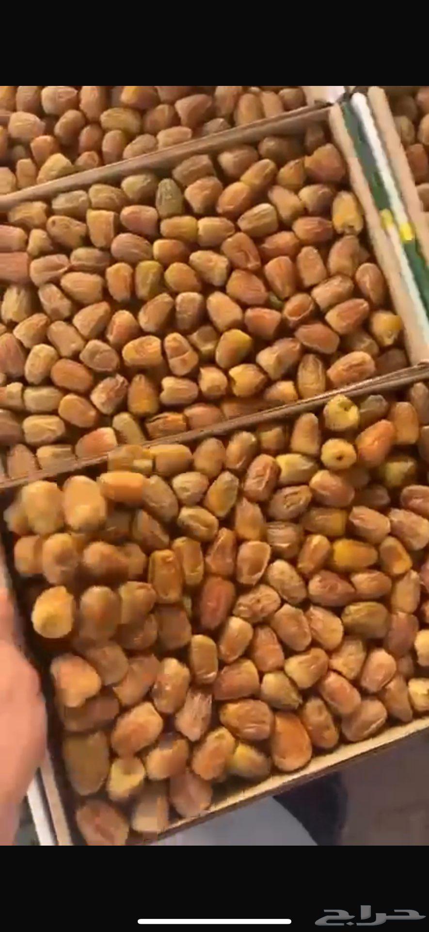 Dates with sugar moist64365040463235111