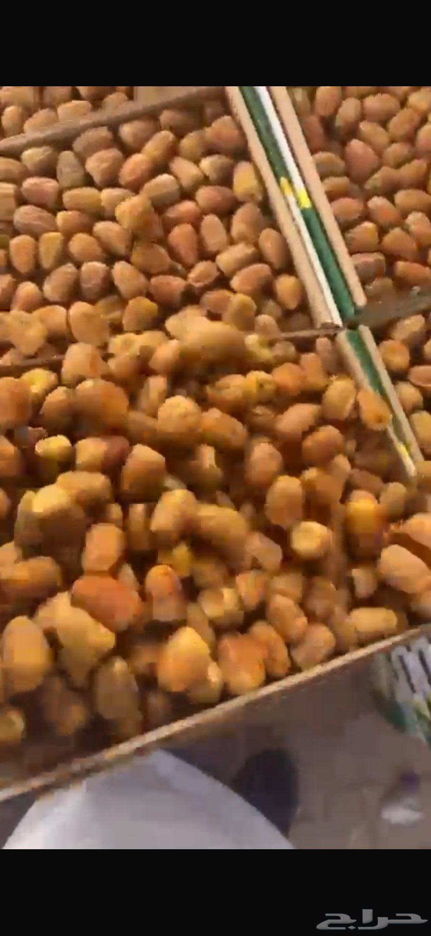 Dates with sugar moist64365040463235110