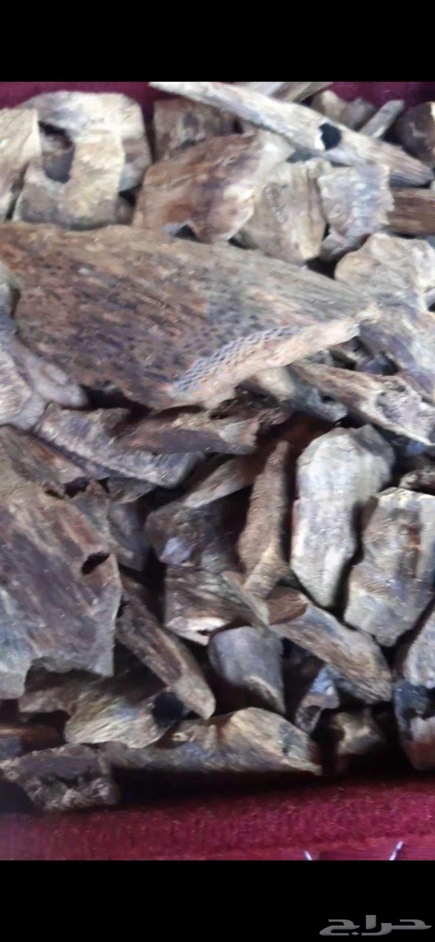 عود للبيع ودهون64375557675907110