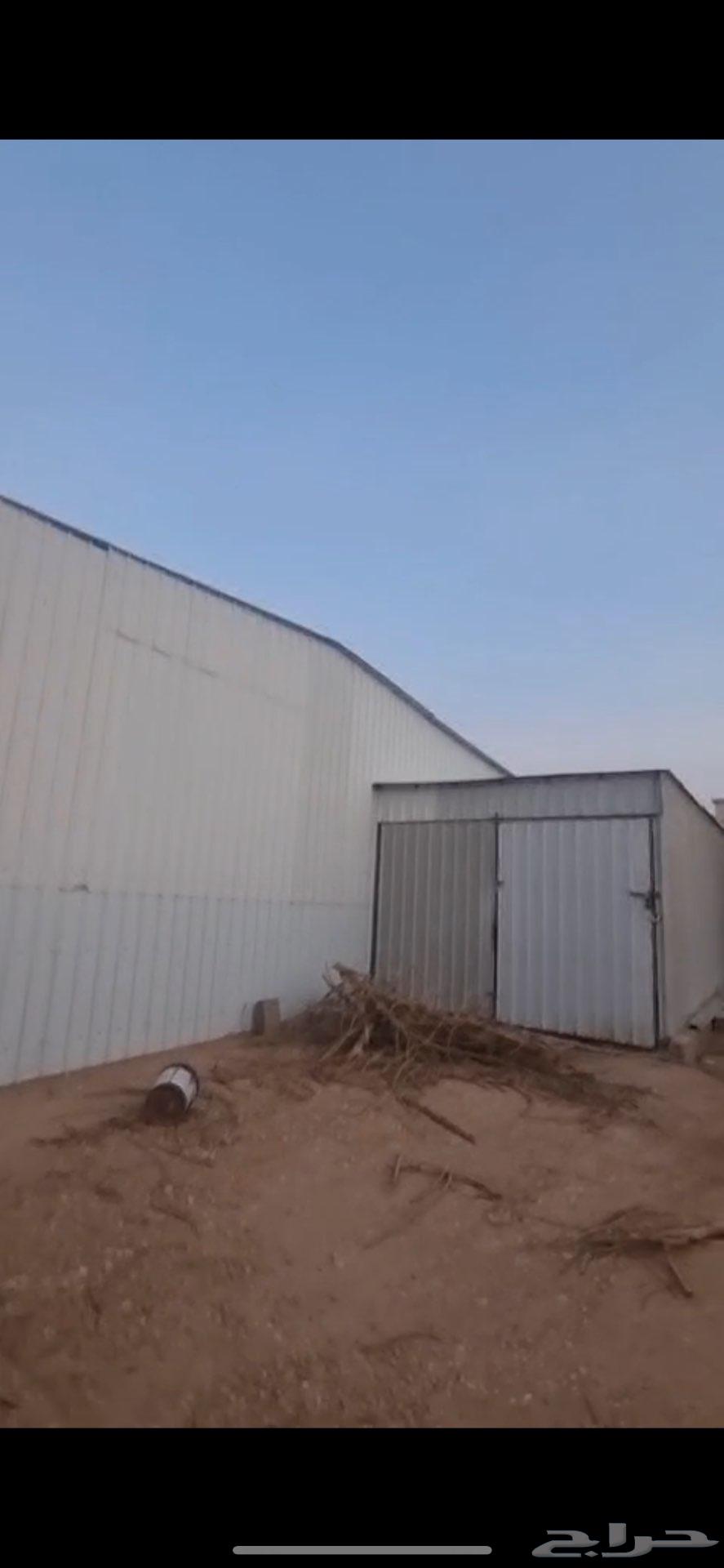 للبيع الواح زنك و دوامر64373994772609110