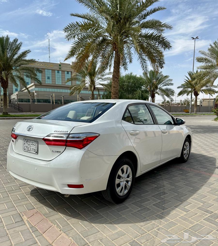 Corolla (19)64511618905729114