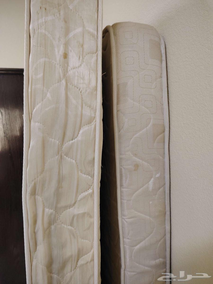 البيع لدواعي السفر64366219568513110