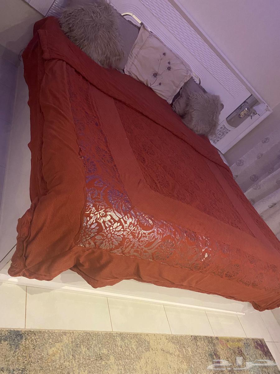 المدينه المنوره64366395299457114