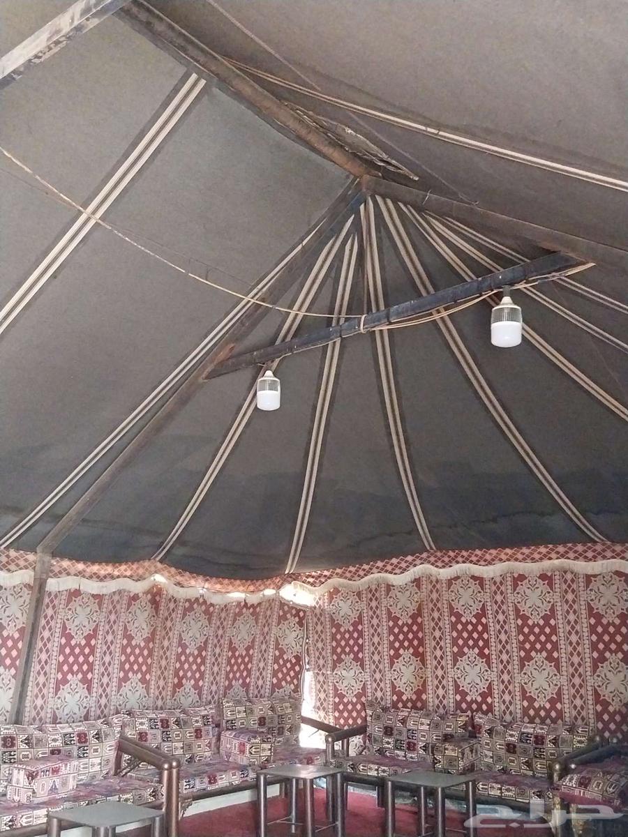 للبيع بيت شعر 16 764367245625987111