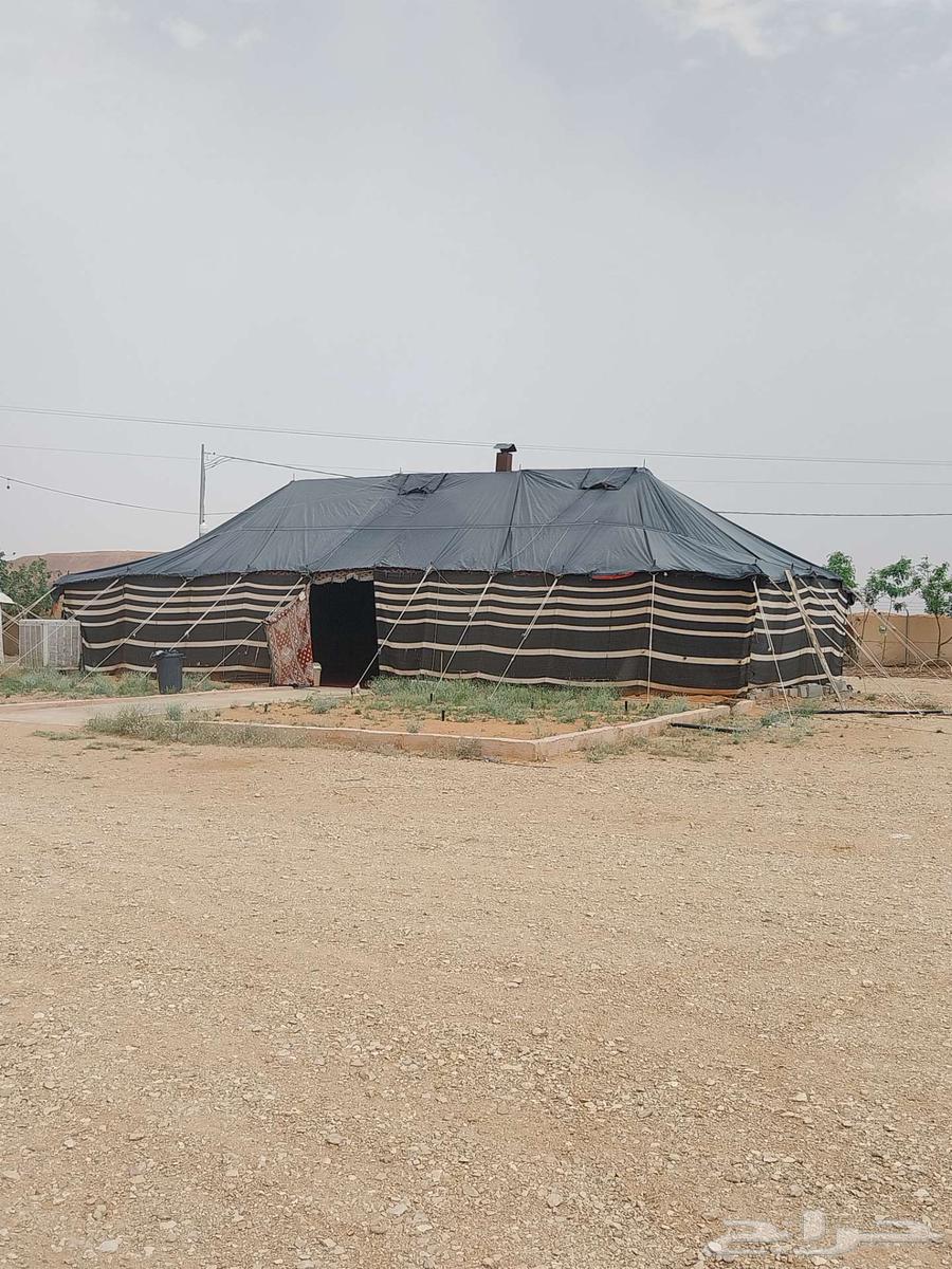 للبيع بيت شعر 16 764367245625987110