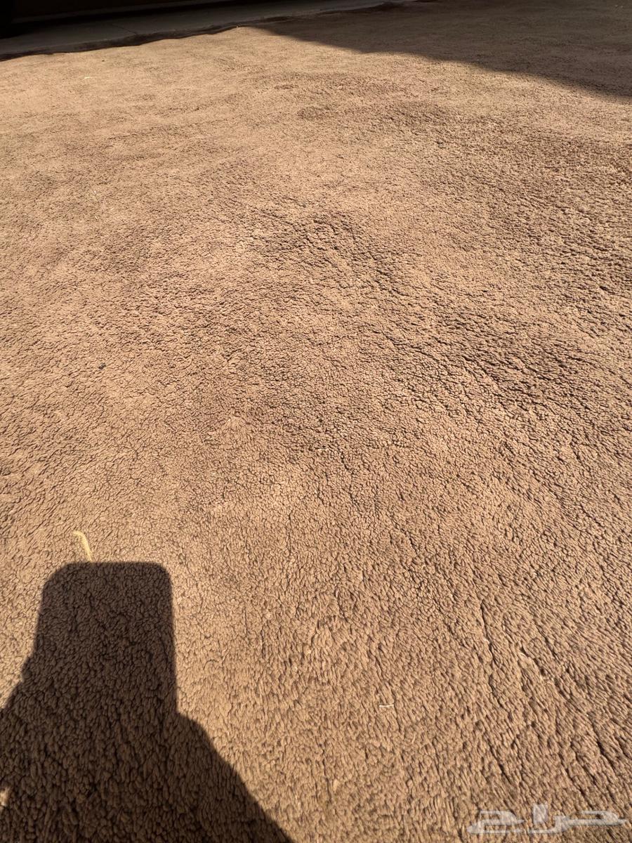 فرشه موكيت 5 في 4 نظيفه للبيع64369226498307113