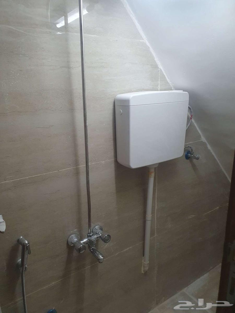 سكن أفراد عزاب للايجار كامل63613873445762114