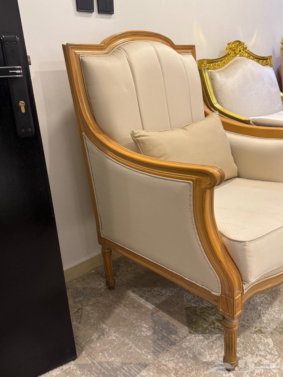 Single sofa64371672353794112