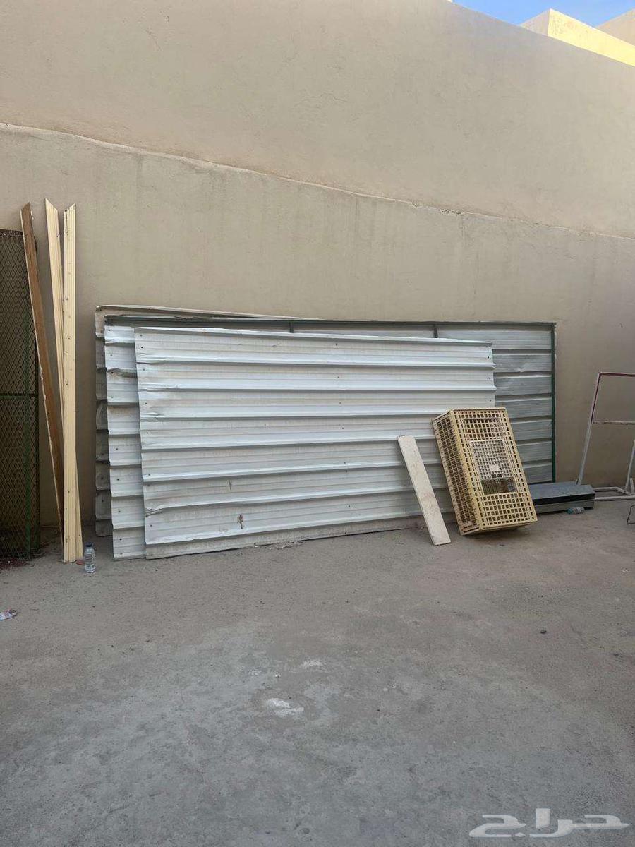 2 sheep nets64380929946627111