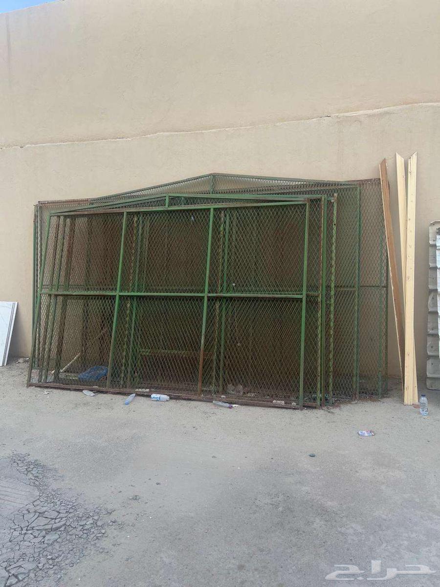 2 sheep nets64380929946627110