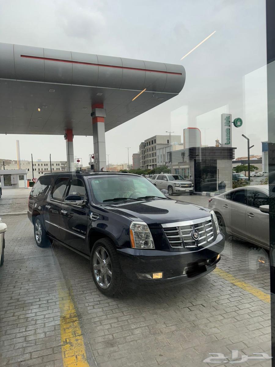 اسكاليد كاديلاك للبيع64517974838403113