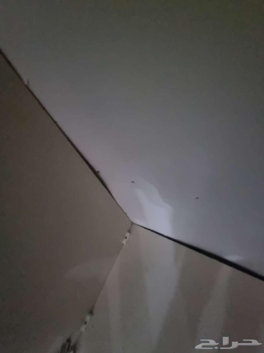 سرير نفر ونص خشب اصلي معا دولاب مفككين64375872814723114