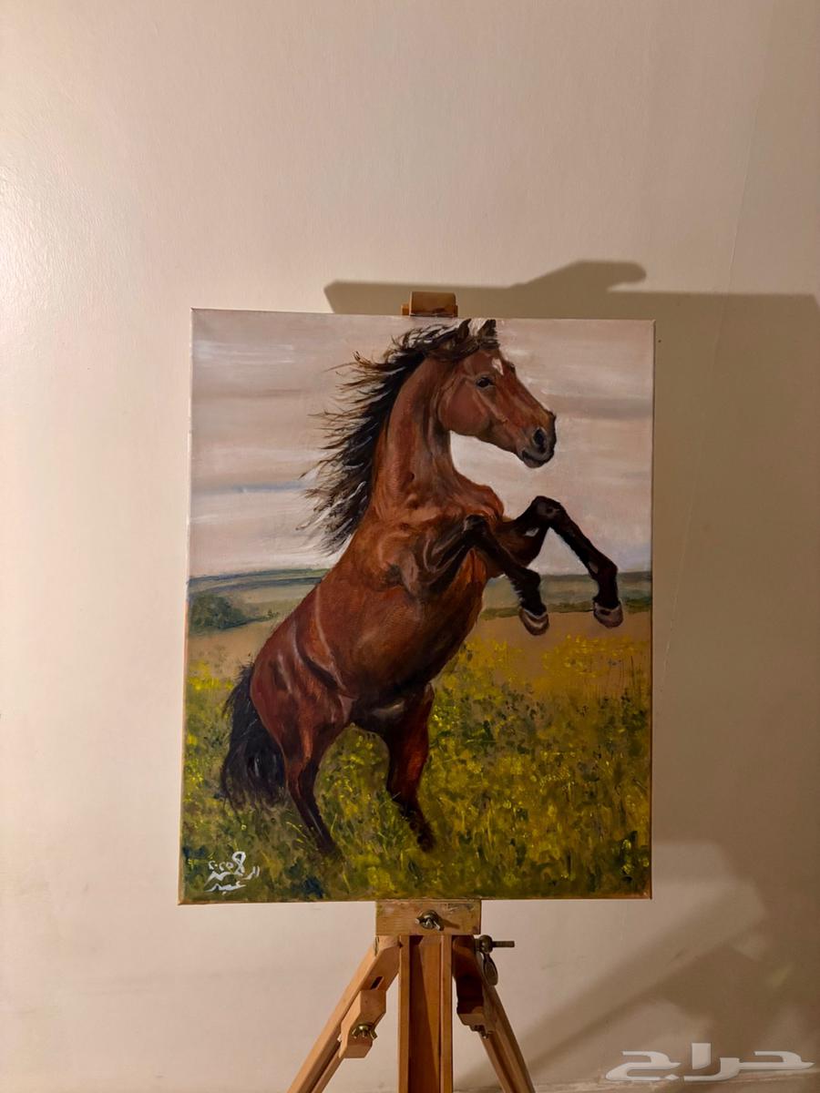 لوحة حصان الوان زيتية64376035205763111
