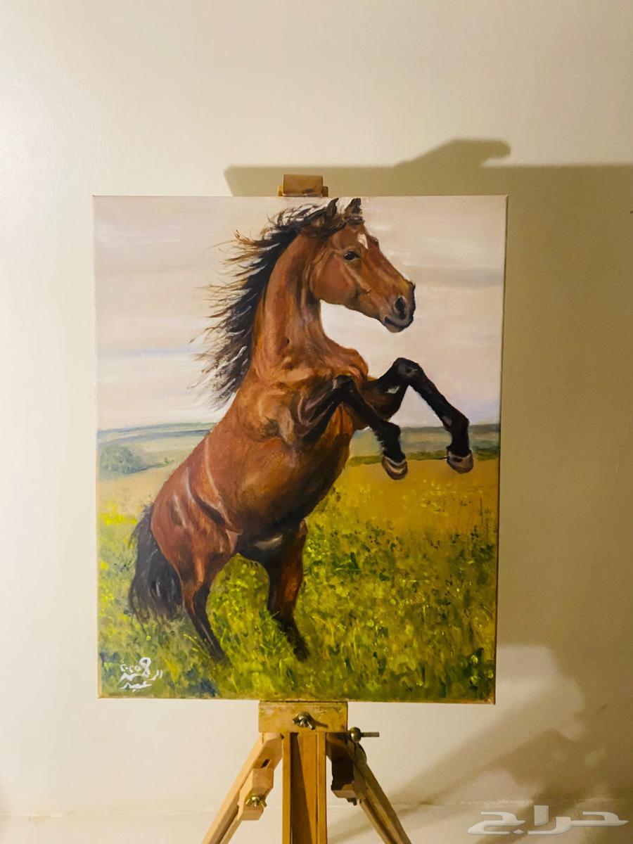 لوحة حصان الوان زيتية64376035205763110
