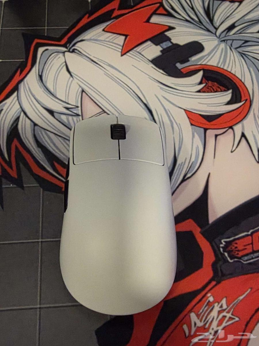 BenQ and Endgame OP1 Mouse64376599567747113