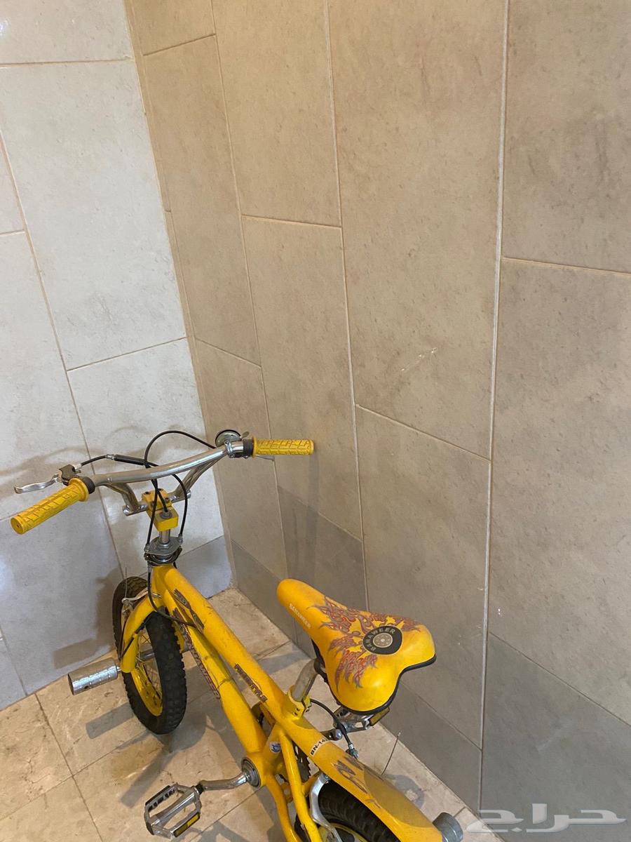 دراجة كوبرا مقاس 1464378556515202111