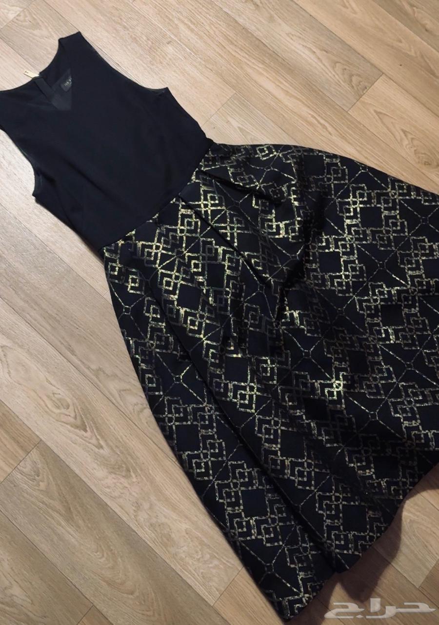 فساتين نسائية من تبد بيكر64378498777602110