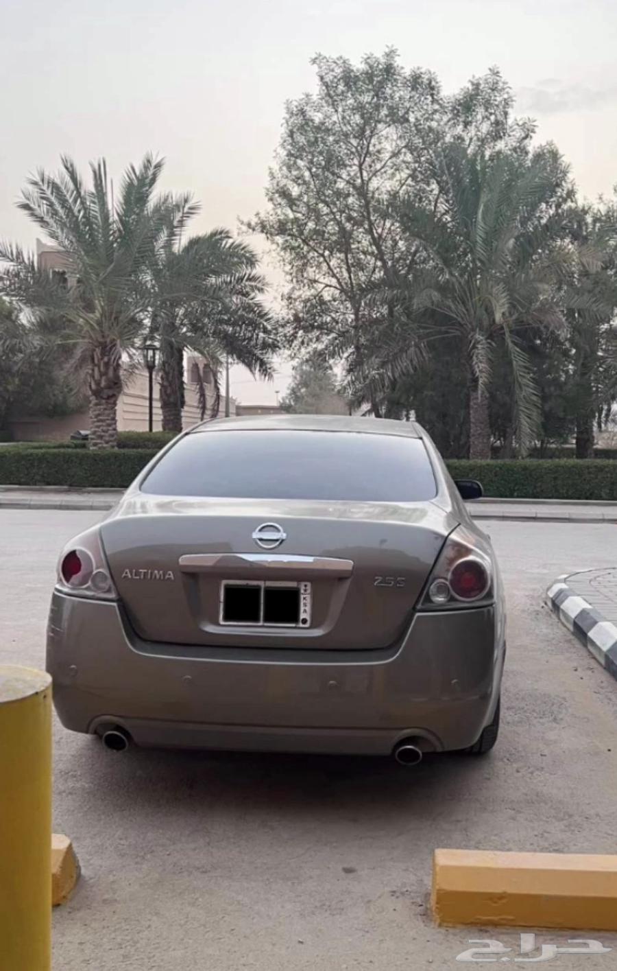 التيما للبيع64513043531650112