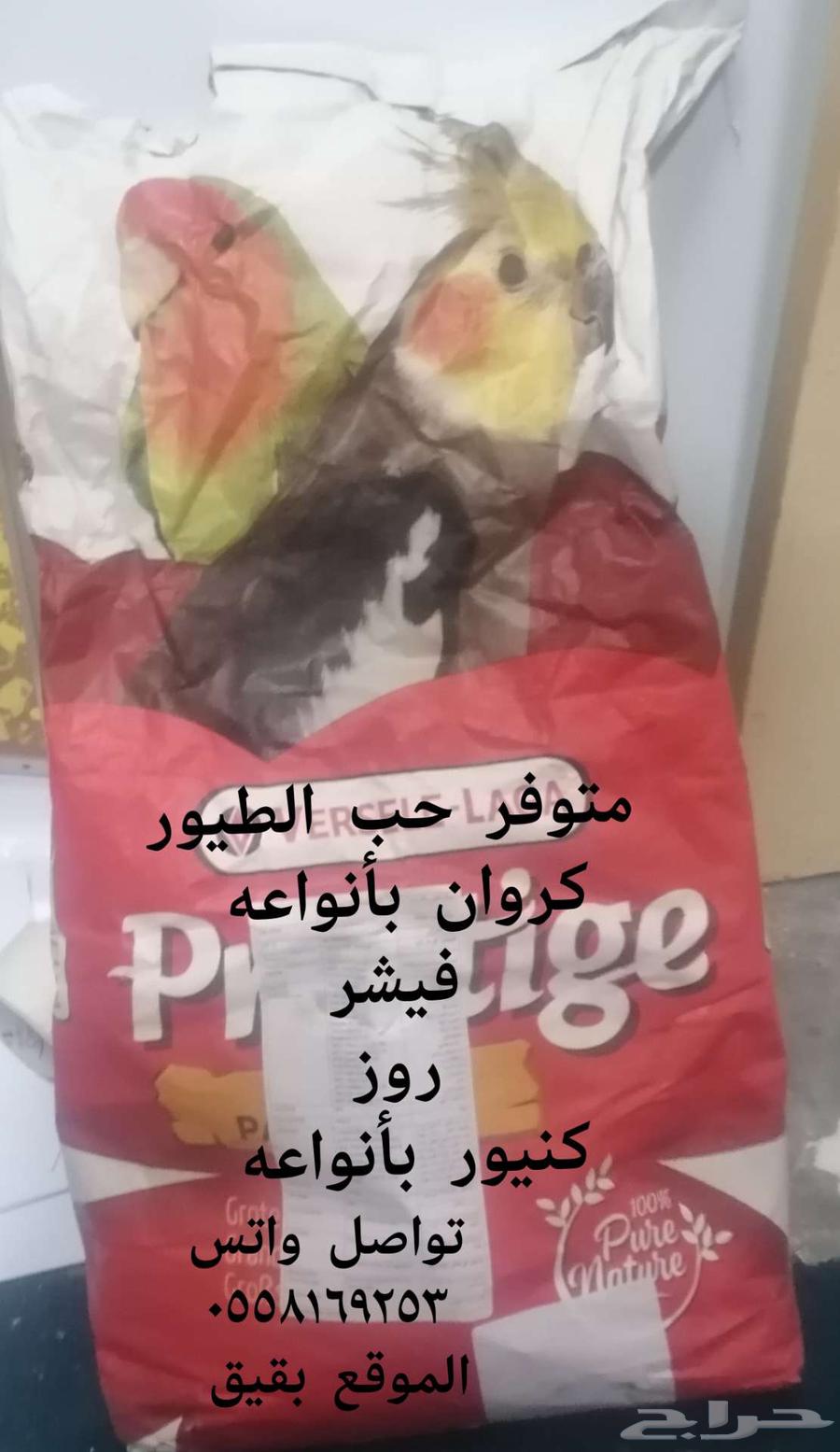 حب الطيور64371687084290110