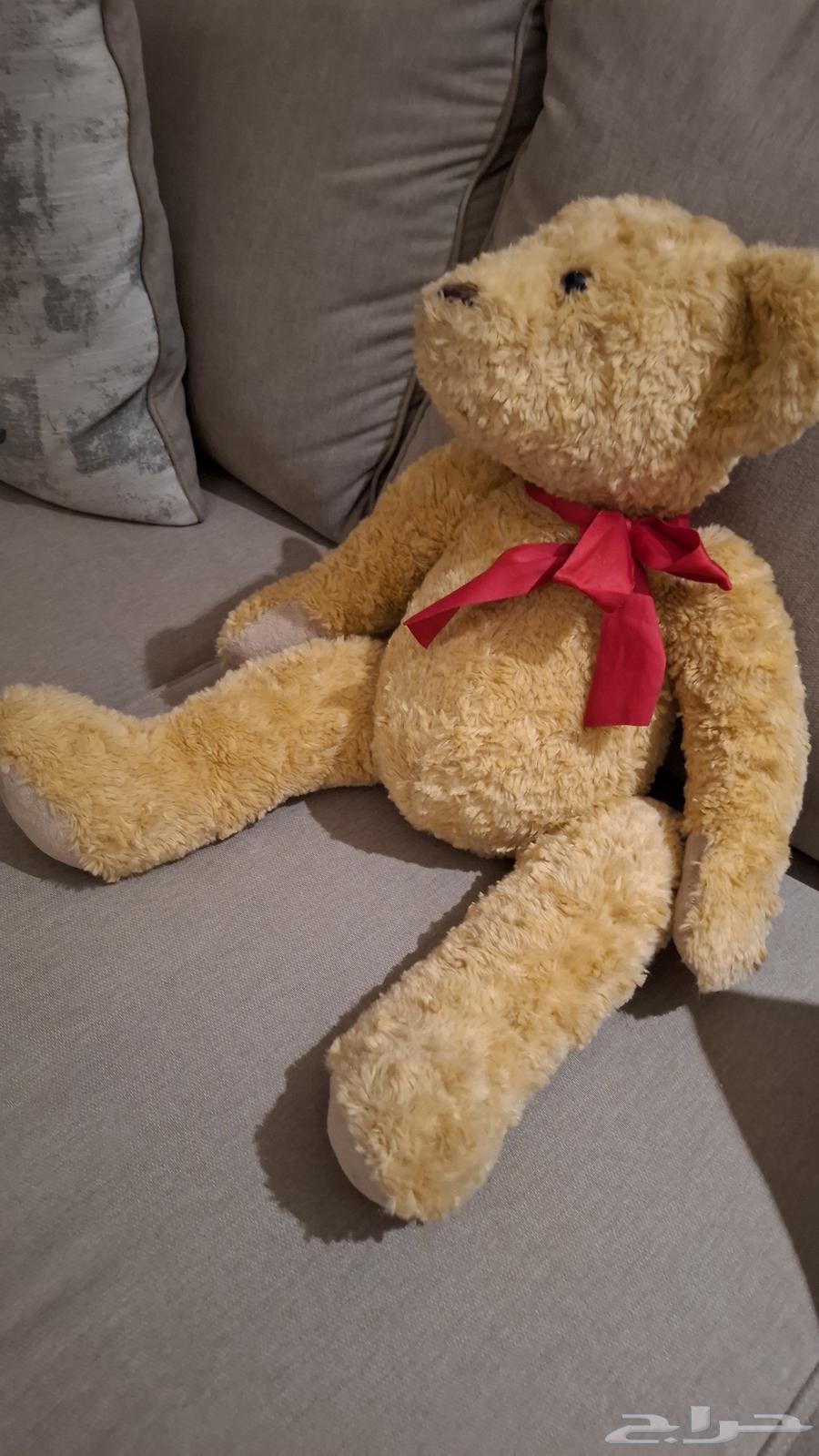 دب لعبة دميه64374744427139110