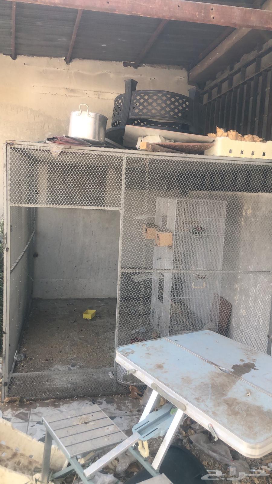 للبيع زنق وابواب وحديد سكراب64368557428483114