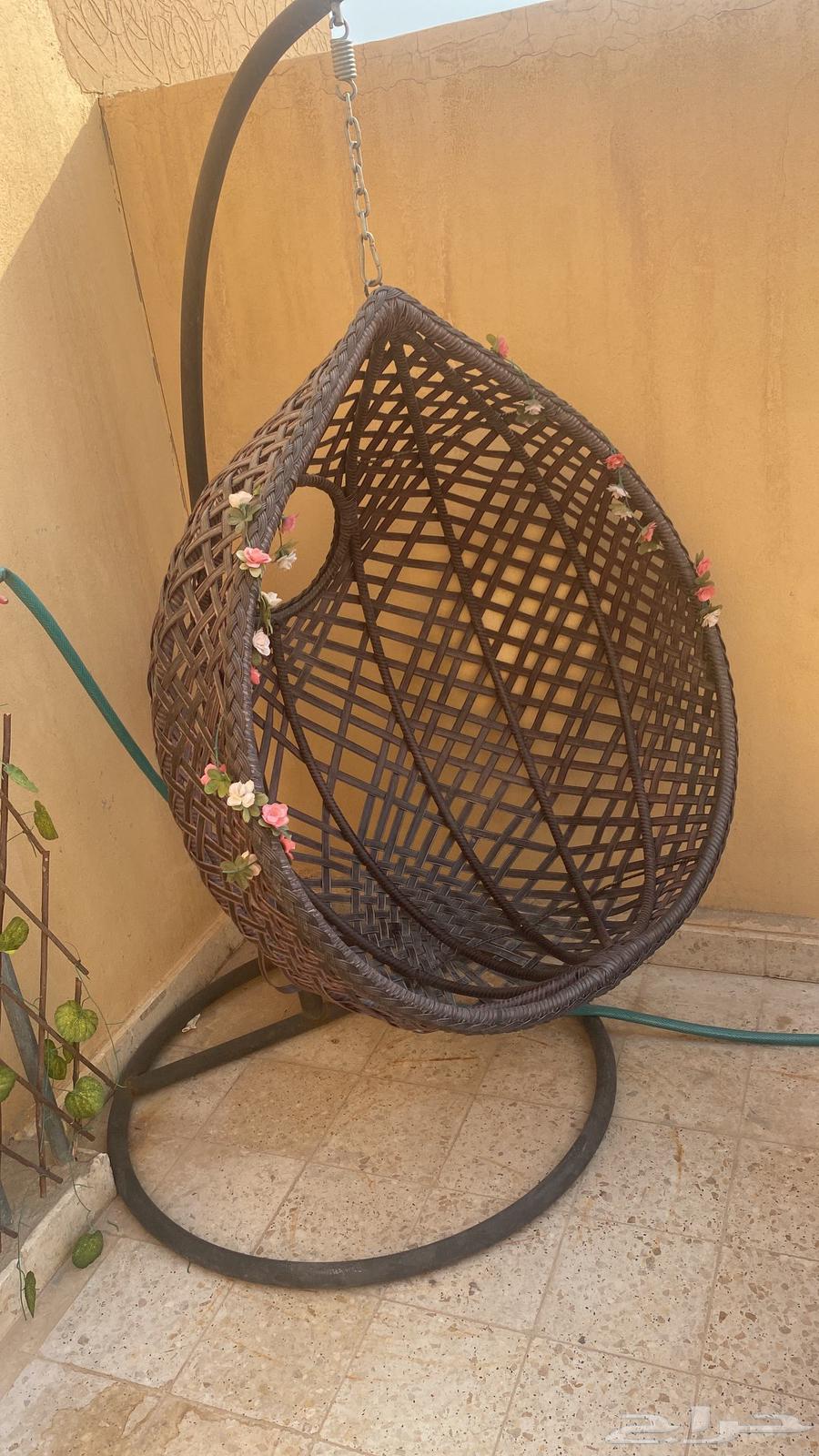 ظهره البديعه64370438942337110