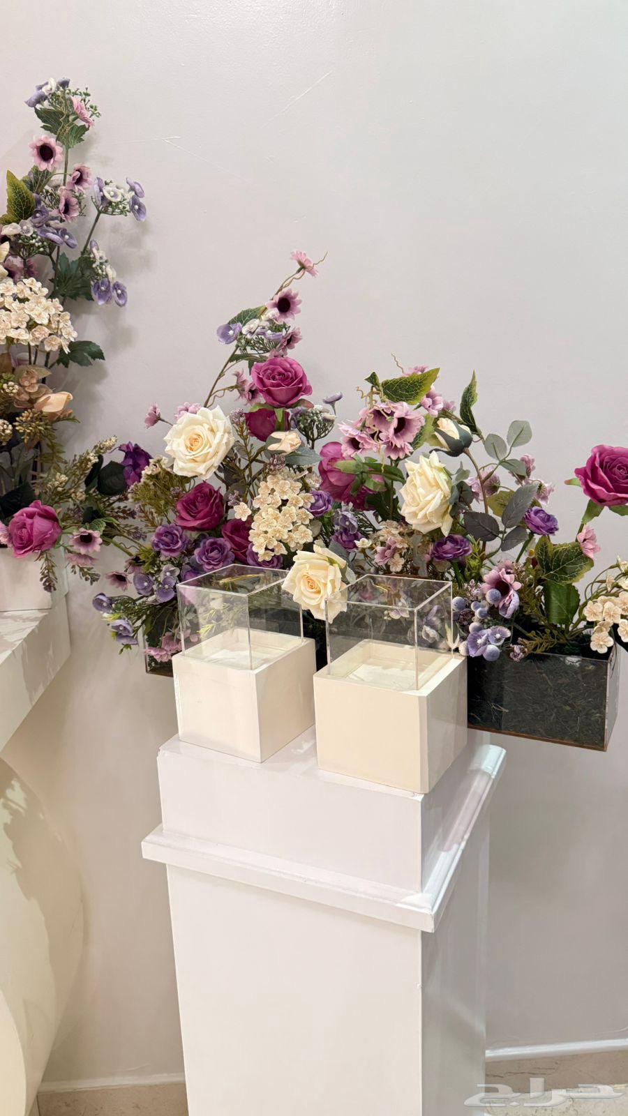 عربية ملكة (مدخل)64371104083459114