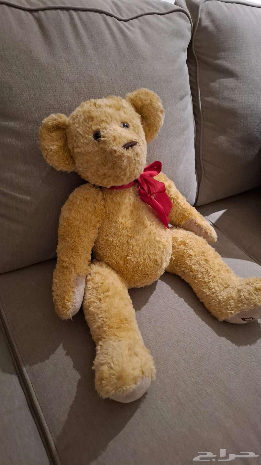 دب لعبة دميه64374744427139112