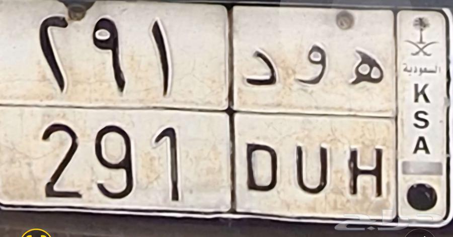 لوحة للبيع ع السوم اوراقها جاهزة للنقل64514072423425111