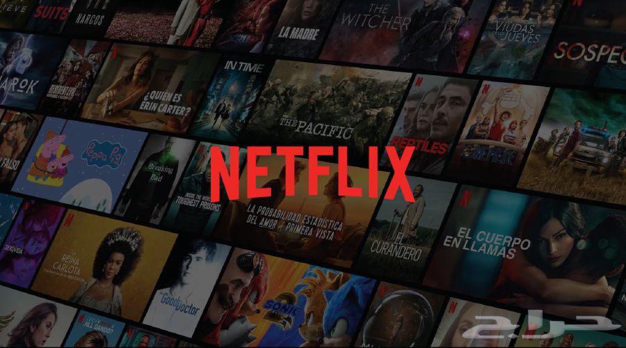 Netflix subscription file - (special) - guaranteed for 13 SAR64376020645251110