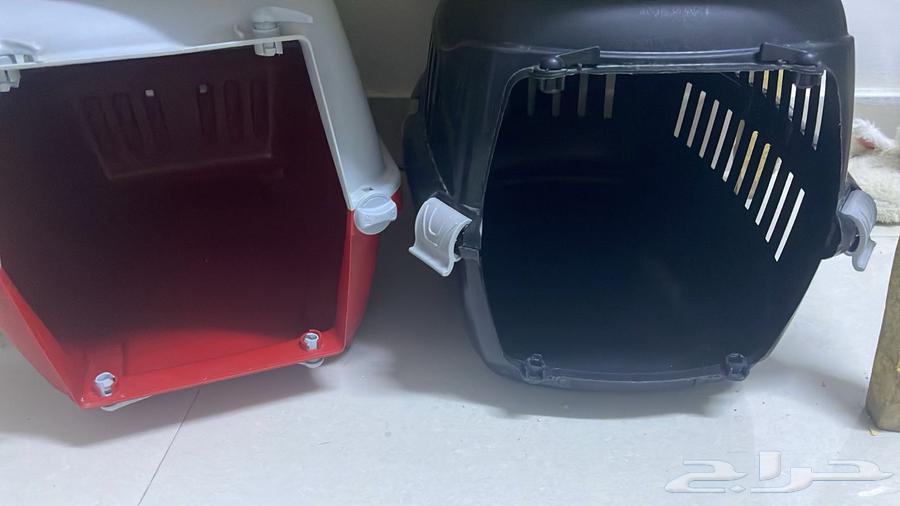 الرياض الياسمين64377681164675112