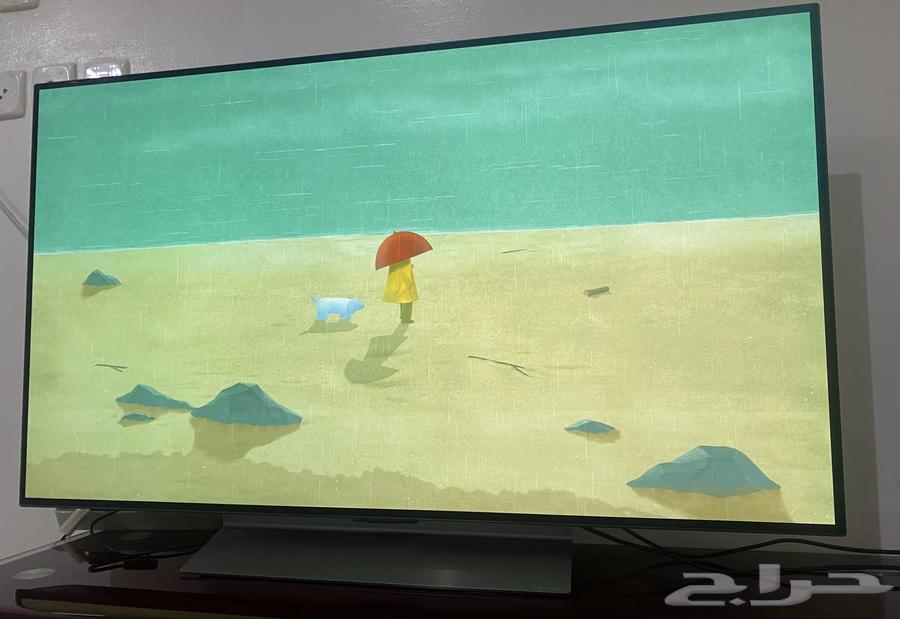 LG OLED Screen64371803539715110