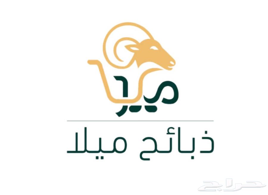 Halal meat for sale on installment via Tabby and Tamara64365025868417110