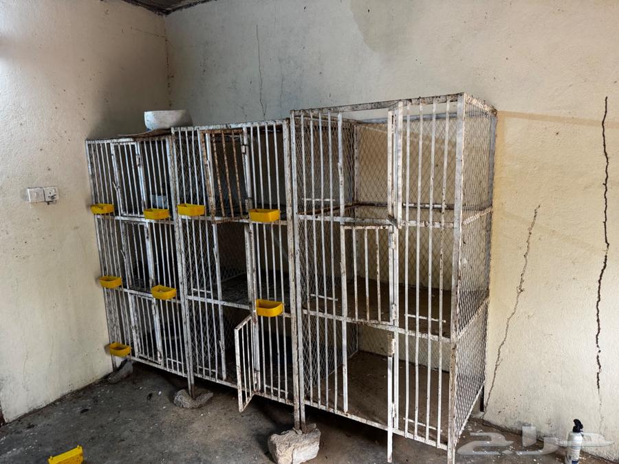 Mockup Display64373846451202110