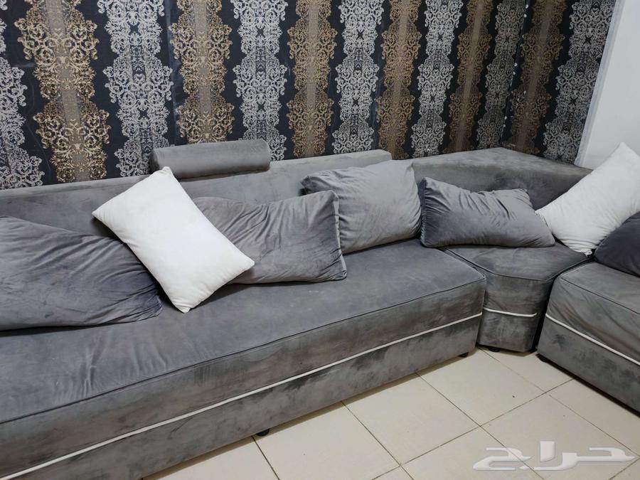 Sitting in good condition64377768916355111