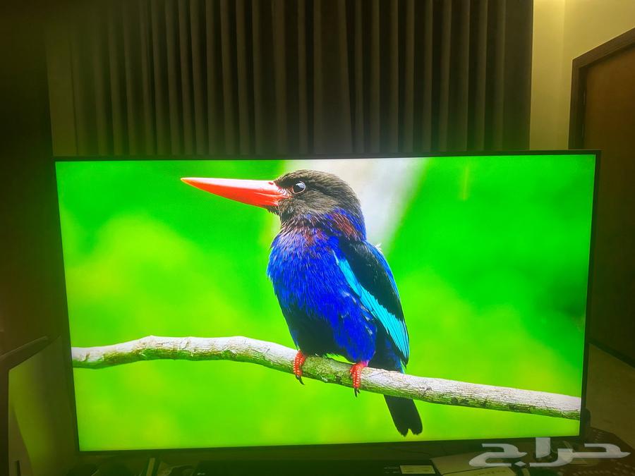 تلفيزيون سامسونج TV 65 بوصة 4K UHD Smart TV64378397000449110