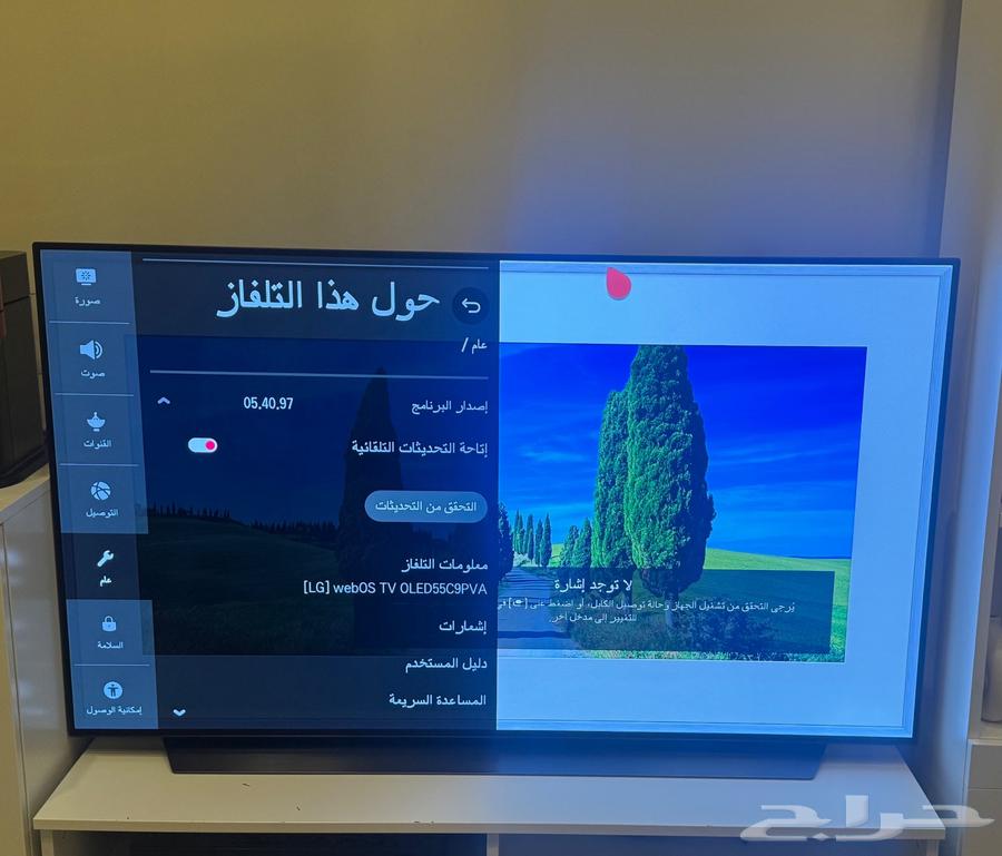 LG oled64370165582723110